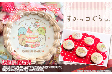 「すみっコぐらし」バレンタイン限定デザインのケーキ＆マカロン登場！ しろくま、とかげ達を可愛くプリント 画像