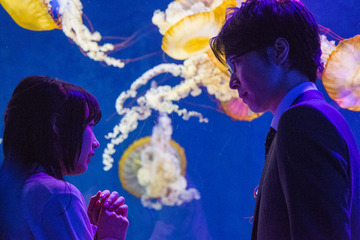 映画「海月姫」新ビジュアル公開　能年玲奈と長谷川博己に恋の予感？ 画像