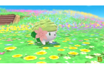 『ポケモン ダイパリメイク』で「シェイミ」を仲間にしよう！ 「オーキドのてがみ」を順次配信開始 画像