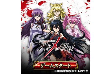 「アカメが斬る！」ソーシャルゲームに　15年春GREEにてサービス開始 画像