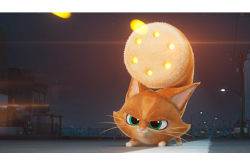 「DC　がんばれ！スーパーペット」ニャめんなよ～！ あざと可愛いすぎる子猫・ウィスカーズの特別映像公開♪ 画像