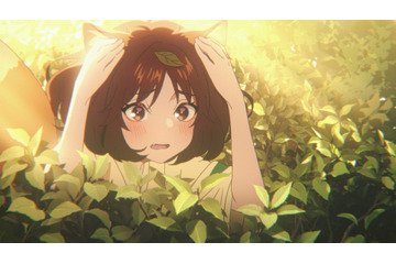 「どんぎつね」声優・小野賢章がメガネの青年＆早見沙織がどんぎつねさんに！ 新アニメCM10月31日から放映 画像