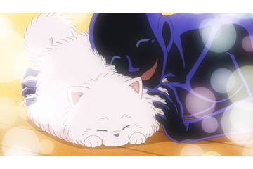 秋アニメ「名探偵コナン 犯人の犯沢さん」ペットショップで出会った“もふもふ”にメロメロ♪第8話先行カット 画像