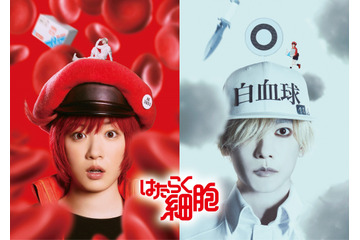 実写映画「はたらく細胞」赤血球役・永野芽郁＆白血球役・佐藤健がW主演！超特報もお披露目 画像