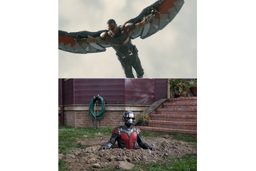 映画「アントマン」　史上最小のマーベルヒーローがファルコンに“鉄拳パンチ” 画像