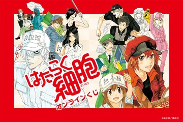 「はたらく細胞」赤血球と血小板が元気いっぱい！ 「くじ引き堂」に原作イラストグッズ登場 画像