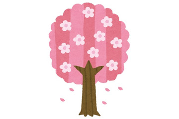 “さくら”が印象的なアニメといえば？ アンケート〆切は3月16日 画像