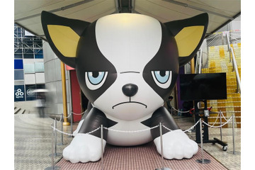 「ジョジョ」史上最大のイギーが“デカかわッ！” 「JOJODAY」開催記念で渋谷にバルーン登場 画像