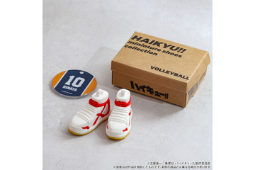 「ハイキュー!!」日向、研磨らの体育館靴を再現!? 及川徹、宮兄弟らは“ぬいパル”に♪ 新キャラグッズ登場 画像