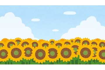 “黄色”がイメージカラーのキャラといえば？ アンケート〆切は7月3日【#ひまわりの日】 画像