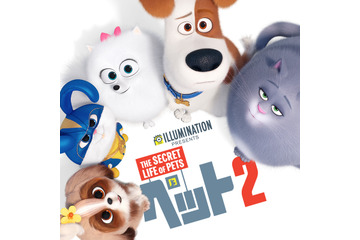 「ペット2」9月5日に金ローで放送！中尾隆聖、沢城みゆき、宮野真守も出演のイルミネーションが贈る大ヒット作第2弾 画像