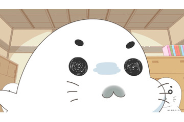 「小3アシベ QQ ゴマちゃん」TVアニメ化＆26年春放送！制作はDLE　「アシベ」シリーズ最新作 画像