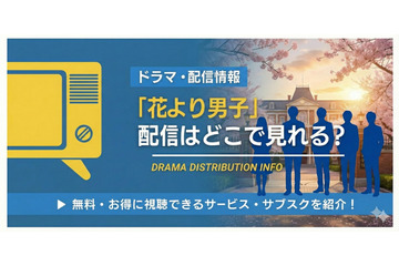 ドラマ「花より男子」の配信はどこで見れる？Netflix・Amazonプライムの状況と全話無料視聴方法【2026最新】 画像