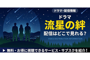 ドラマ「流星の絆」の配信はどこで見れる？無料視聴できるサブスクまとめ 画像