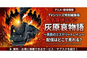 TVシリーズ特別編集版「名探偵コナン 灰原哀物語～黒鉄のミステリートレイン～」の配信はどこ？無料視聴方法 画像