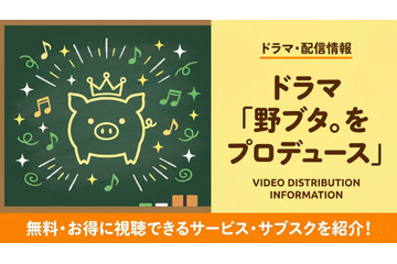ドラマ「野ブタ。をプロデュース」配信はどこで見れる？無料視聴できるおすすめサブスク 画像