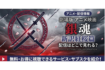 劇場版「銀魂 新訳紅桜篇」の配信はどこで見れる？見放題サービス比較 画像