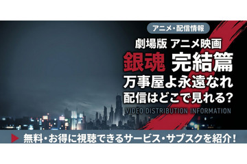 劇場版「銀魂 完結篇 万事屋よ永遠なれ」の配信はどこで見れる？お得に視聴できるサブスクを紹介！ 画像