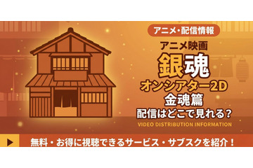 アニメ「銀魂オンシアター2D 金魂篇」の配信はどこで見れる？見放題サービス比較 画像