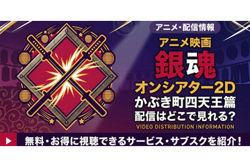 アニメ「銀魂オンシアター2D かぶき町四天王篇」の配信はどこで見れる？お得な視聴方法を紹介！ 画像