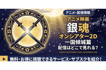 アニメ「銀魂オンシアター2D 一国傾城篇」配信情報｜新劇場版「吉原大炎上」の関連作 画像