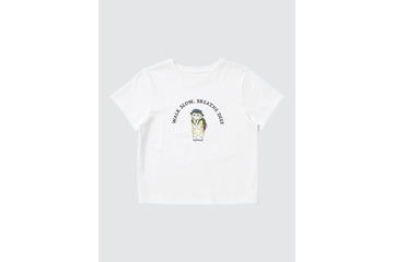 「mofusand」にゃんことアウトドア♪ ユニクロの新コレクションで登場！キッズ向けスイーツにゃんシリーズも癒しデザイン 画像