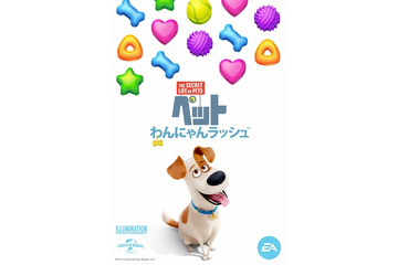 映画「ペット」がパズルゲームに  「ペット わんにゃんラッシュ」無料配信スタート 画像