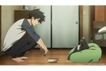 夏アニメ「BLACK TORCH」動物と話せる忍者の末裔・弐郎はある日、黒猫の羅睺を助け…？第1話先行カット 画像
