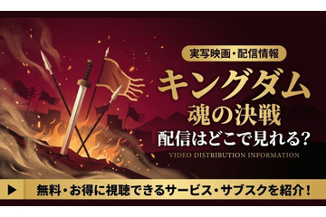『キングダム 魂の決戦』の配信はいつから？劇場で観るお得な方法も紹介 画像