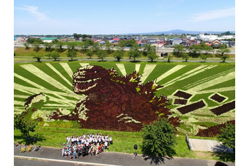 「シン・ゴジラ」青森に現わる 田んぼアートの巨大ゴジラがついにお披露目 画像