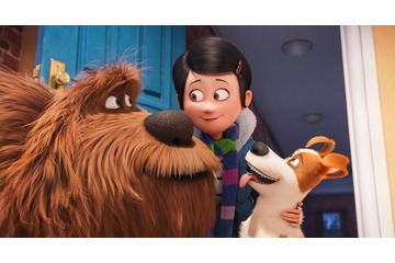 「ペット」本予告映像を配信 マックスの仔犬時代や吹替キャストの熱演も公開 画像