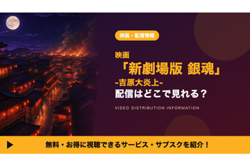 「新劇場版 銀魂 -吉原大炎上-」の配信はどこで見れる？サブスクレンタル開始日とお得な視聴方法 画像
