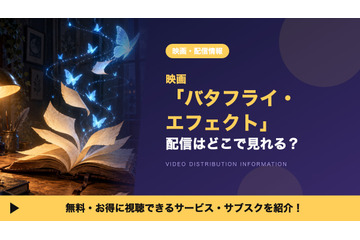 「バタフライ・エフェクト」の配信はどこで見れる？サブスクとDVDレンタルを調査 画像