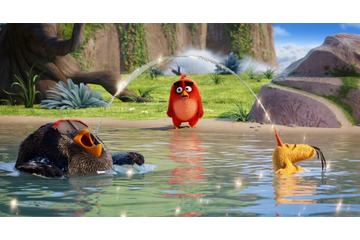 「アングリーバード」本編映像を先行公開 3匹の鳥たちがお笑いトリオのような掛け合いを披露 画像
