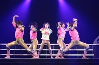 「超速変形ジャイロゼッター」新EDテーマ　TEMPURA KIDZ新曲の「はっぴぃ夏祭り」　 画像