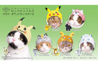 「ポケモン」猫にかぶせる“激かわ”アイテム登場！ピカチュウほかアローラ地方ポケモン集合 画像