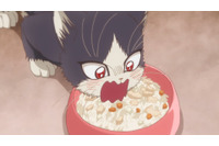 「同居人はひざ、時々、頭のうえ。」素晴がハルのために手作りごはんに初挑戦！ 第10話先行カット 画像