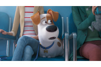 【ご招待】「ペット2」試写会に5劇場各15組30名様 画像