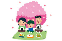 名前に「さくら」が付く、一番好きなアニメキャラは？ アンケート〆切は3月7日 画像