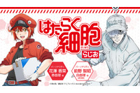 「はたらく細胞」花澤香菜＆前野智昭がパーソナリティ担当！ ＜音泉＞でBD BOX発売記念ラジオ始動 画像