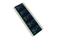 「生コマフィルム」