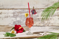 「リロ＆スティッチ」と夏満喫のカフェ＆おしゃれアパレル登場！ルミネエスト新宿で“GOOD MOOD ～STITCH COLLECTION～”開催 画像