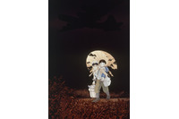 高畑勲「火垂るの墓」8月15日に金ローで放送決定！戦後80年当日に約7年ぶり登場 画像