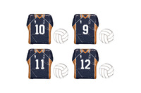 「ハイキュー!!」鳥野高校ウェア＆バレーボールのアルミ巻きチョコが登場！ヒナガラス型ケースも 画像