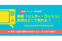 「シュガー・ラッシュ」の配信はどこで見れる？DMM TVなど無料で視聴できるサブスクを調査 画像