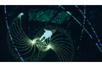 「花緑青が明ける日に」こだわりのメイキング写真が公開！粘土やスポンジ、樹脂を駆使!? 唯一無二の映像表現の裏側とは 画像