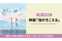 「海がきこえる」配信なし？ジブリ