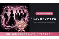 映画「花より男子ファイナル」の配信はどこで見れる？DMM TVで見放題！お得な視聴方法まとめ 画像