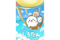 秋アニメ「しろたん」10月3日より放送開始！ メインビジュアル公開＆ファン参加型メッセージボード企画も♪ 画像