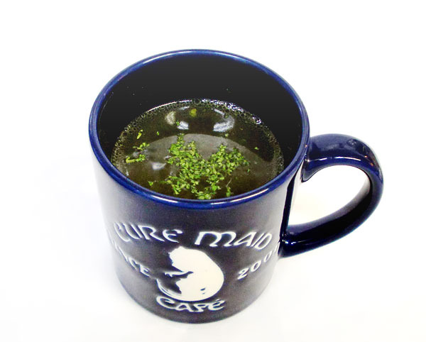 少女終末旅行 終末世界 に浸れるコラボカフェ あの レーション もメニューに 9枚目の写真 画像 アニメ アニメ